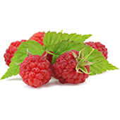 Image of Raspberry Ketone Fruit