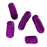 Lactobacillus Acidophilus