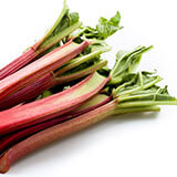 Rhubarb