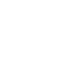 Mayo Clini Logo