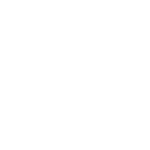 National Eye Institute Logo