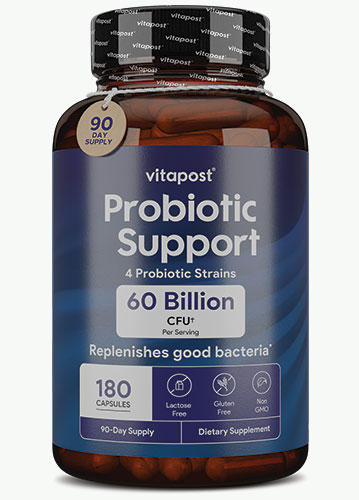 Premium Probiotic Support