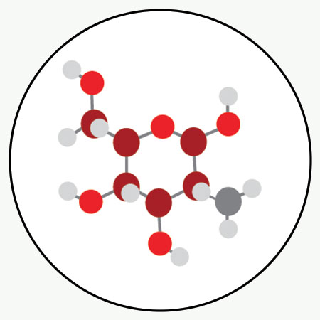 Glucosamine Sulfate