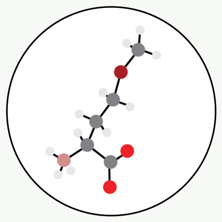 Methionin