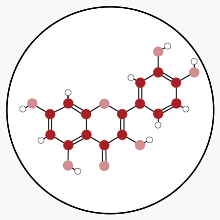 Quercetin