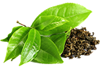 Green Tea Leaves Image