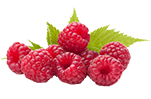 Raspberry ketone Fruit Image