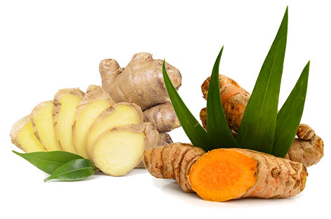Turmeric Leaves and Ginger Roots