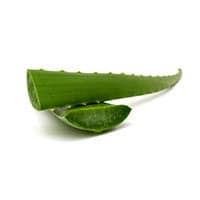 Aloe Barbadensis Leaf Juice