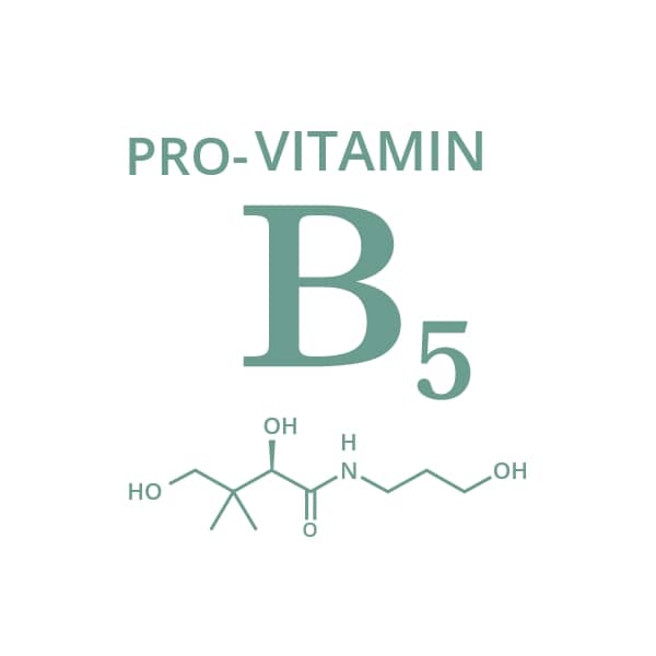 Vitamin B5 (Panthenol / D-Calcium Pantothenate)